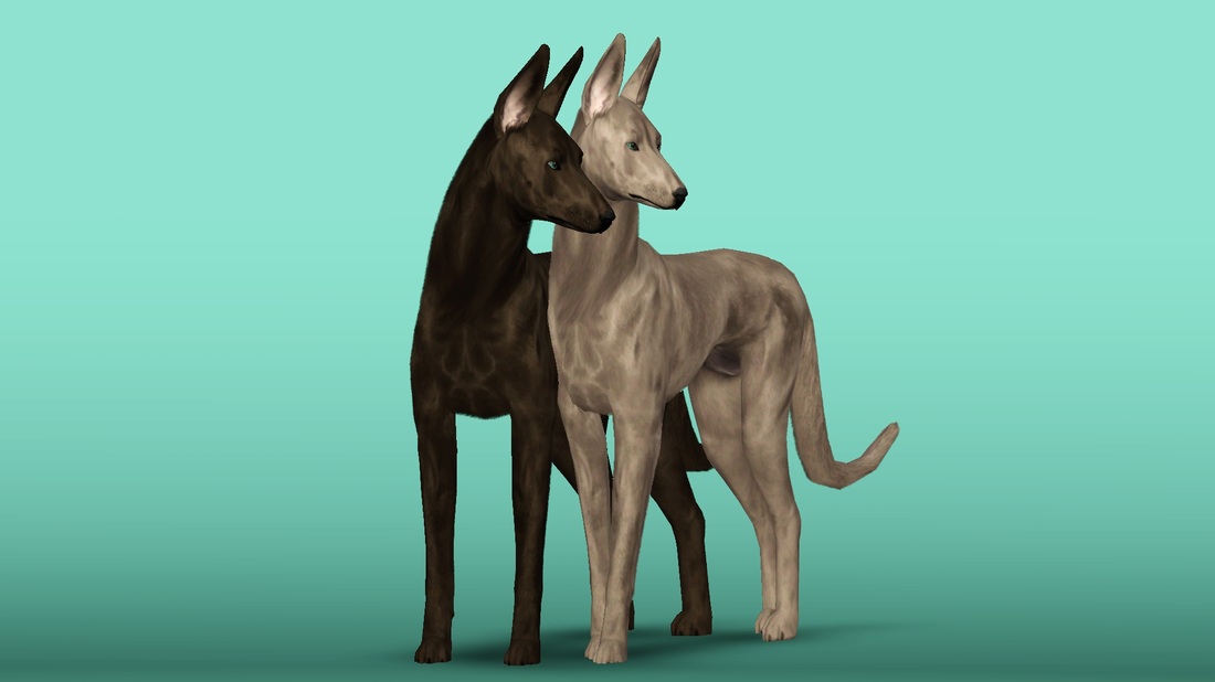 Dovahkiin Kennel Sims Kennel Club